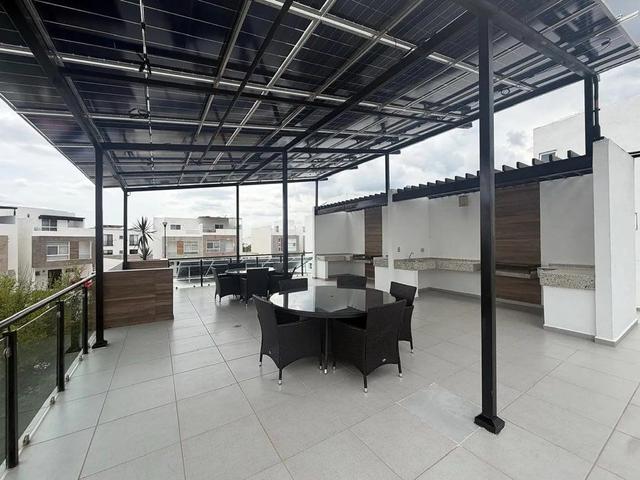 Foto de la galeria de imagenes